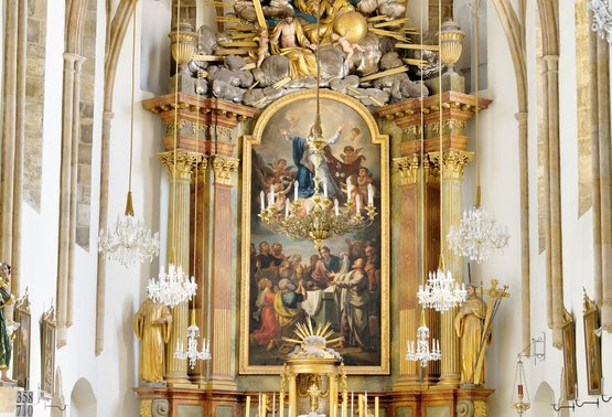 Exkursion "Das Land um Laa"