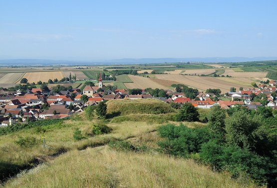Blick vom Hausberg von Großriedenthal